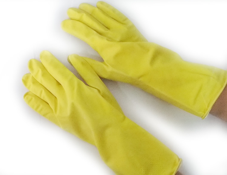 牽牛花（噴絨牛筋）